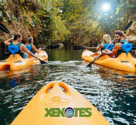 Xenotes